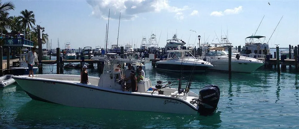 ****  Bimini Big Game Club Resort & Marina Alice Town  Bahamas