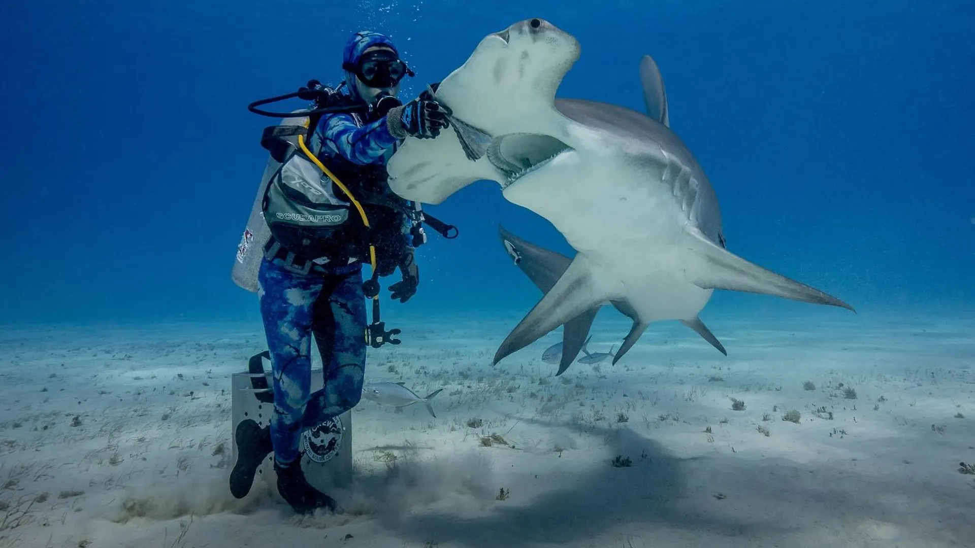 Bimini Big Game Club Resort & Marina Alice Town