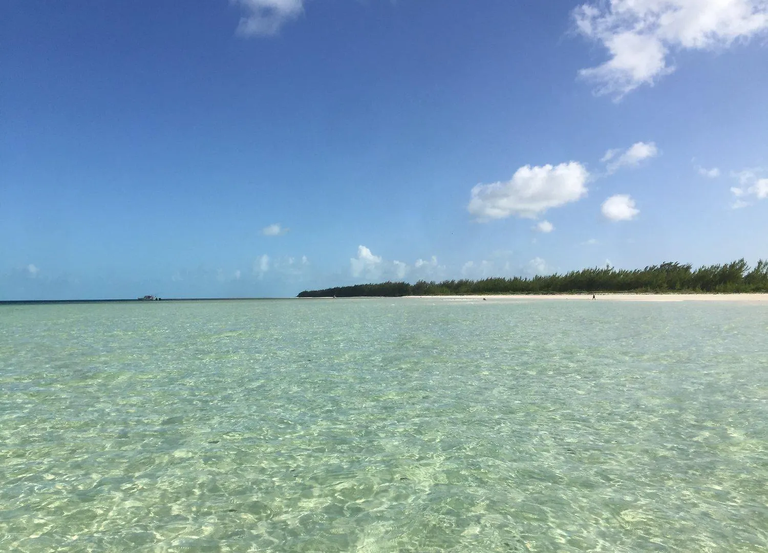 Bimini Big Game Club Resort & Marina Alice Town  Alice Town (North Bimini)