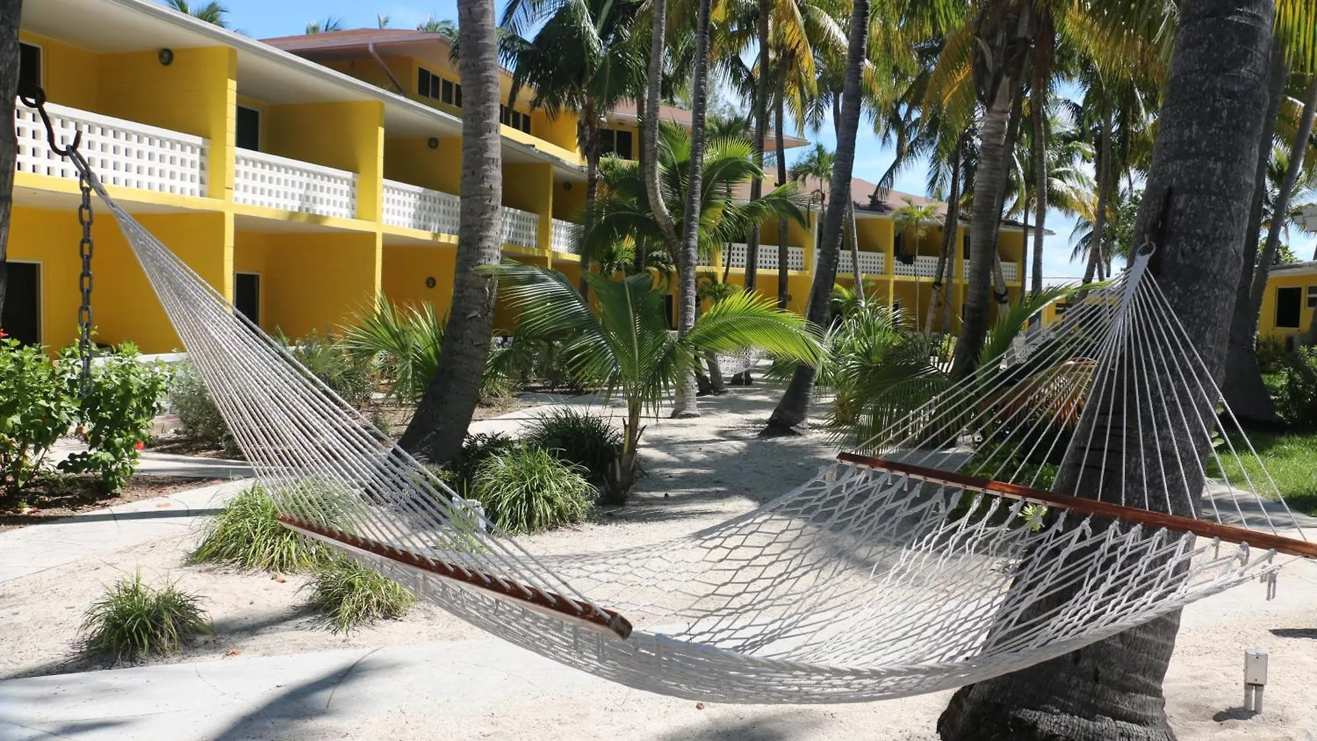 ****  Bimini Big Game Club Resort & Marina Alice Town  Bahamas